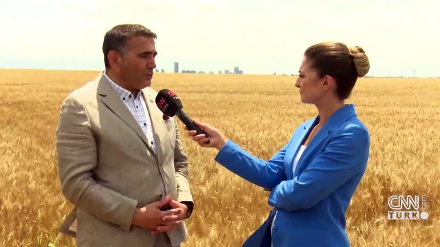 İstanbul'da tarım arazileri ne durumda?