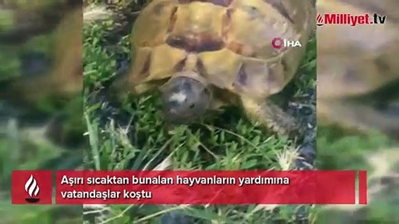 Bir damla suyla yüreklere dokunuldu