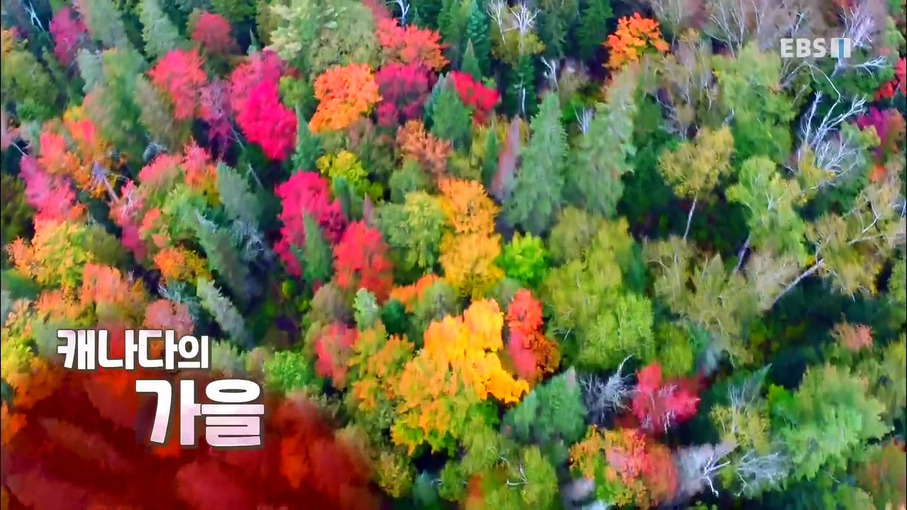 세계테마기행 - 색다른 사계- 푸른 바다의 여름, 팔라우_#001