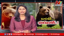Bear doing the squint on the eye |Rescue team on the field _Special Report _ Ntv