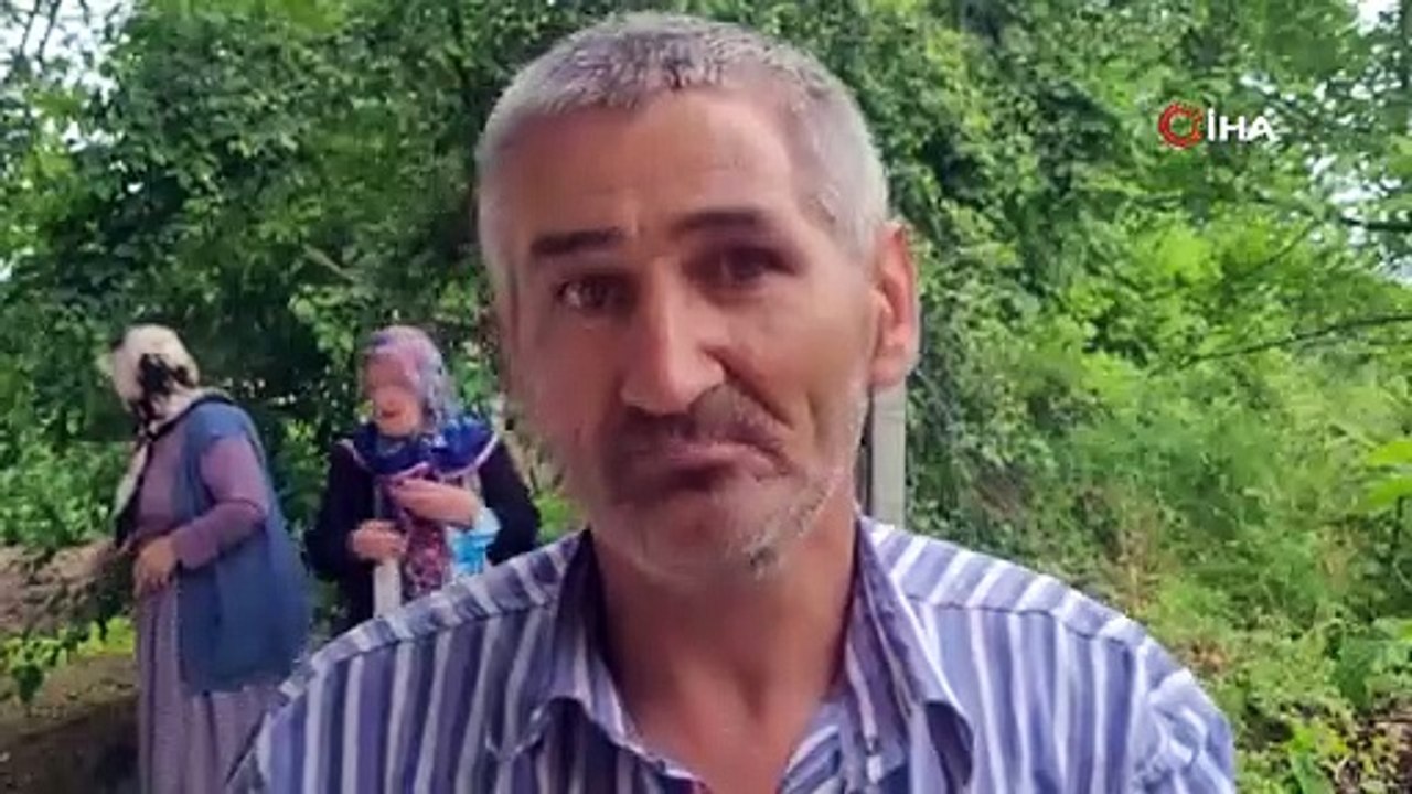 Bir mahalleyi ayı korkusu sardı: Evlerimizden çıkamıyoruz