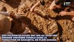 Un étrange dinosaure carnivore à "tête de bulldog" découvert au beau milieu du Sahara