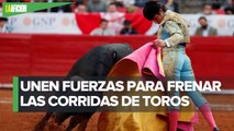 Juez federal concede suspensión definitiva para cancelar corridas de toros en la Plaza México