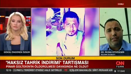 Pınar Gültekin davasında "haksız tahrik indirim" tartışması