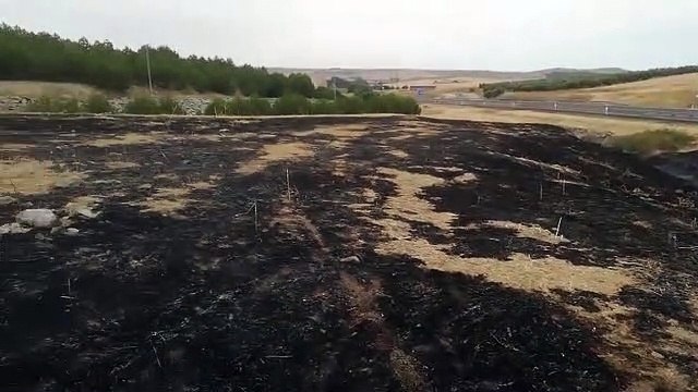 Los bomberos intervienen en un incendio junto a la Autovía del Sur