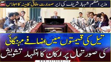 Federal Cabinet meeting; PM Shehbaz shows concern over petroleum prices