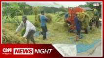 Farmers group: Marcos-led DA must rely less on imports | News Night