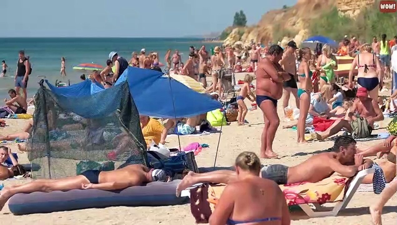 14 Common Mistakes Rabbit Owners Make