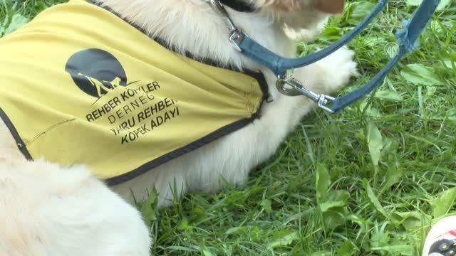 Bezmialem Vakıf Üniversitesi'nde Rehber Köpek etkinliği