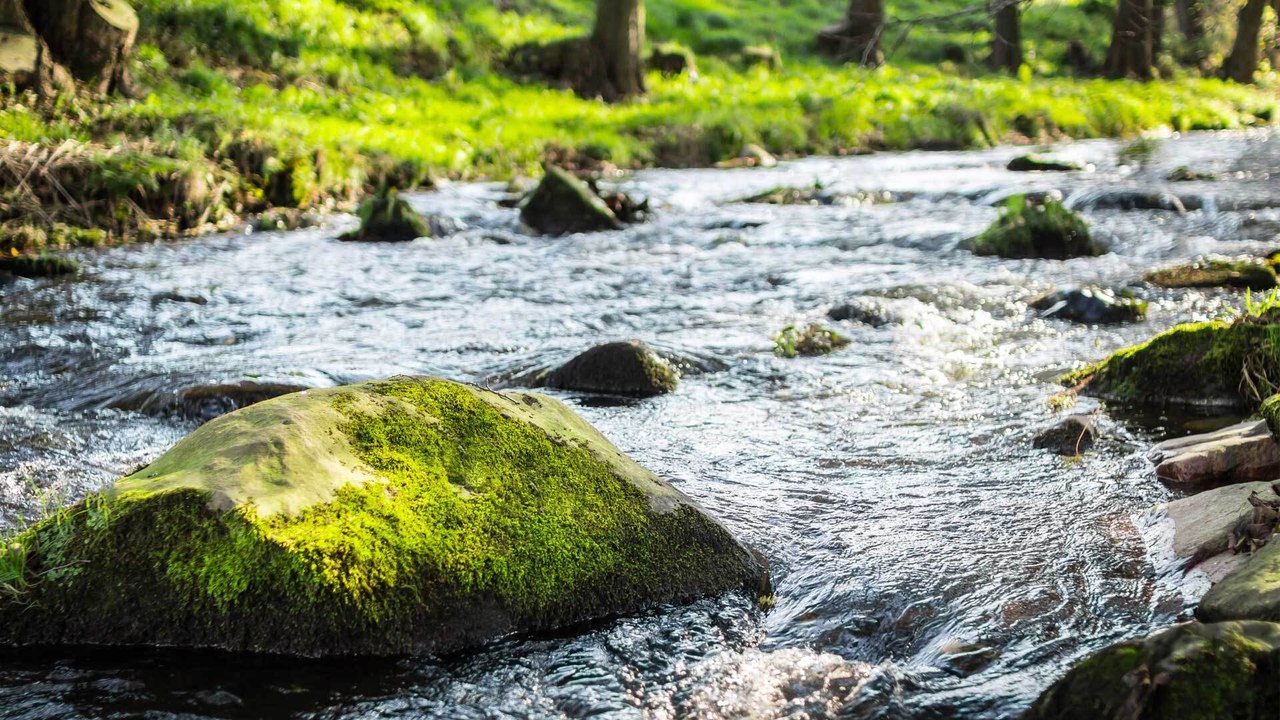 Darf man Gießwasser aus dem Bach schöpfen?