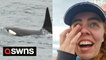 Wildlife photographer breaks down in tears after spotting killer whales after FOUR days of searching