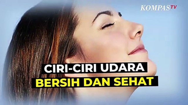Polusi Udara Semakin Memburuk, Berikut Ciri-Ciri Udara yang Bersih dan Sehat