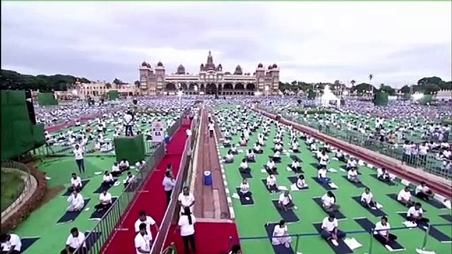 Sonnalli Seygall Sets Instagram On Fire With Bikini Yoga Pose