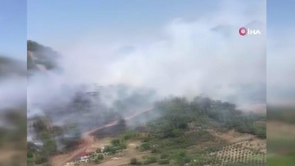 Dalaman'da ormanlık alanda yangın çıktı