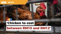 Chicken to cost between RM10 and RM12 per kg after ceiling price removed