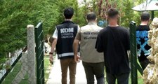 Son dakika haber | İstanbul merkezli 14 ilde tropik hayvan kaçakçılarına operasyon: 62 gözaltı