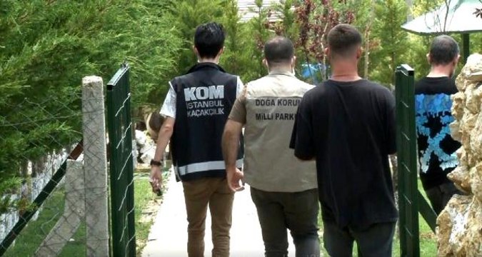 Son dakika haber | İstanbul merkezli 14 ilde tropik hayvan kaçakçılarına operasyon: 62 gözaltı