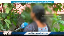 'തൊഴിലുടമ ക്രൂരമായി പീഡിപ്പിച്ചു'; മനുഷ്യക്കടത്തു പരാതിയുമായി കോട്ടയം സ്വദേശിനി