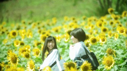 Motohiro Hata - Himawari No Yakusoku (Hikigatari Version)