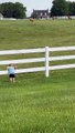 Little Boy Calls His Horse Friends to Him