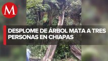 En Chiapas, mueren tres personas tras caída de árbol