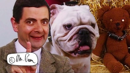Mr Bean & Teddy's Dog Show | Mr Bean Funny Clips | Mr Bean Official