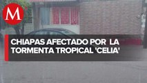 En Chiapas, reportan viviendas afectadas por paso de tormenta tropical 'Celia'