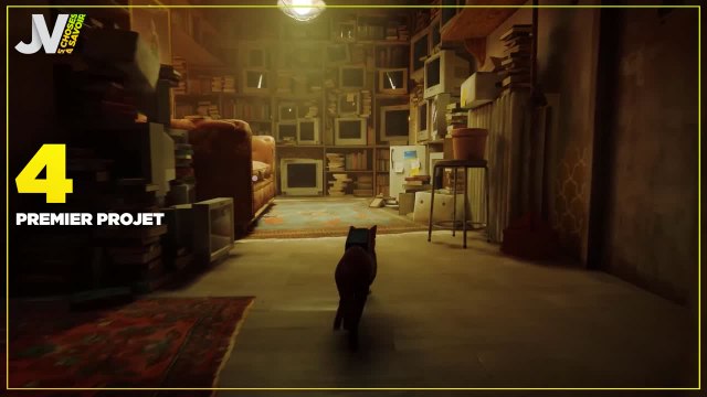 5 choses à savoir sur Stray