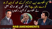 Is govt giving itself NRO 2 through NAB Amendments? Senior analyst Irshad Bhatti slams govt