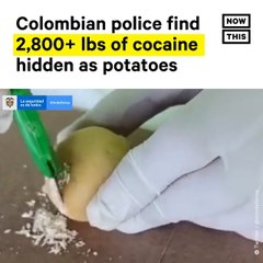 Colombia Police Find 2,800+ Pounds of Cocaine Hidden as Potatoes