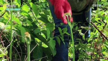 한국기행 - Korea travel_지금, 여기 어때요? 3부- 즐거운 나의 인생_#001