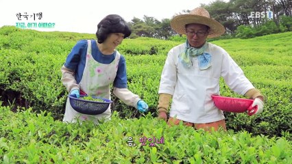 한국기행 - Korea travel_지금, 여기 어때요? 3부- 즐거운 나의 인생_#002