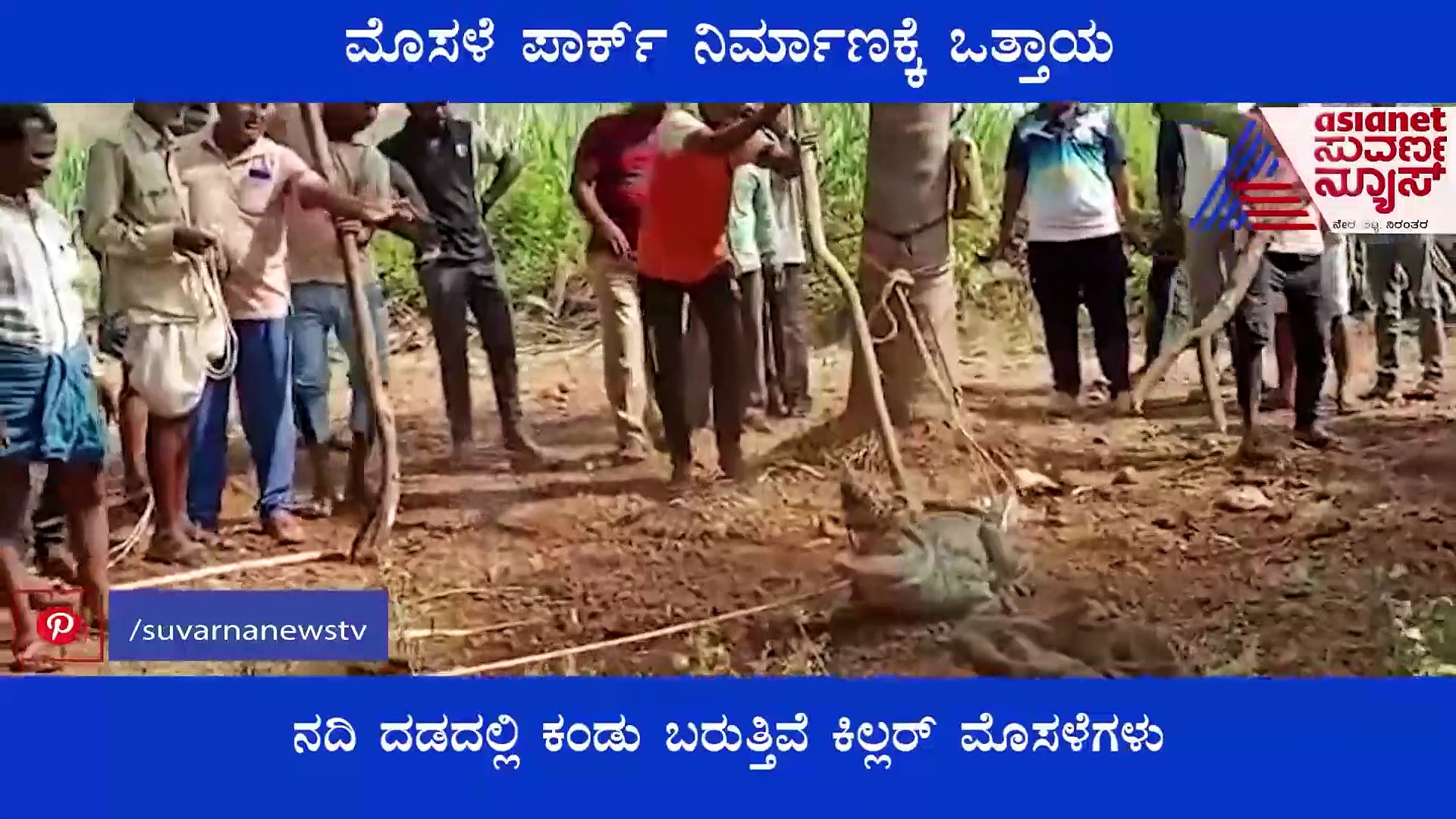 ನದಿ ತೀರದ ಗ್ರಾಮಸ್ಥರಿಗೆ ಭೀತಿ, ಬಾಗಲಕೋಟೆಯಲ್ಲಿ ಹೆಚ್ಚುತ್ತಿದೆ ಮೊಸಳೆ ಪಾರ್ಕ್ ಬೇಡಿಕೆ