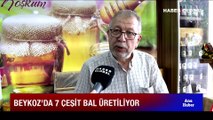 İstanbul'un balı Beykoz'dan! Tam 7 çeşit bal üretiliyor