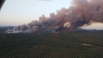 Marmaris'te orman yangını! Rüzgarın etkisiyle alevler kısa sürede yayıldı