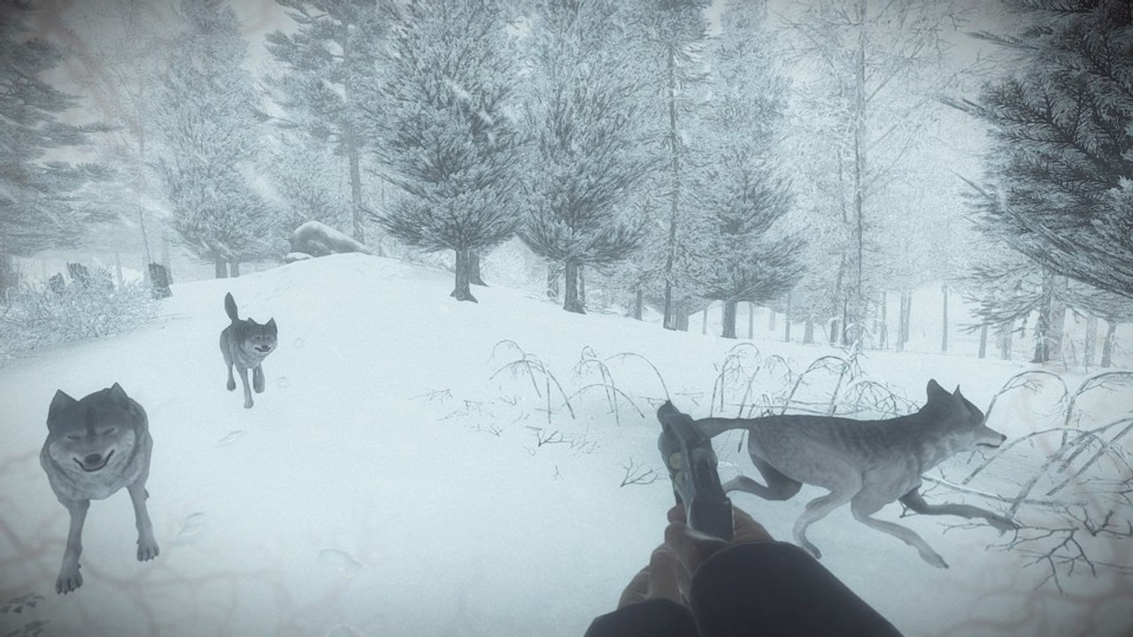Kona - launch-trailer stellt den spielbaren survival-krimi vor