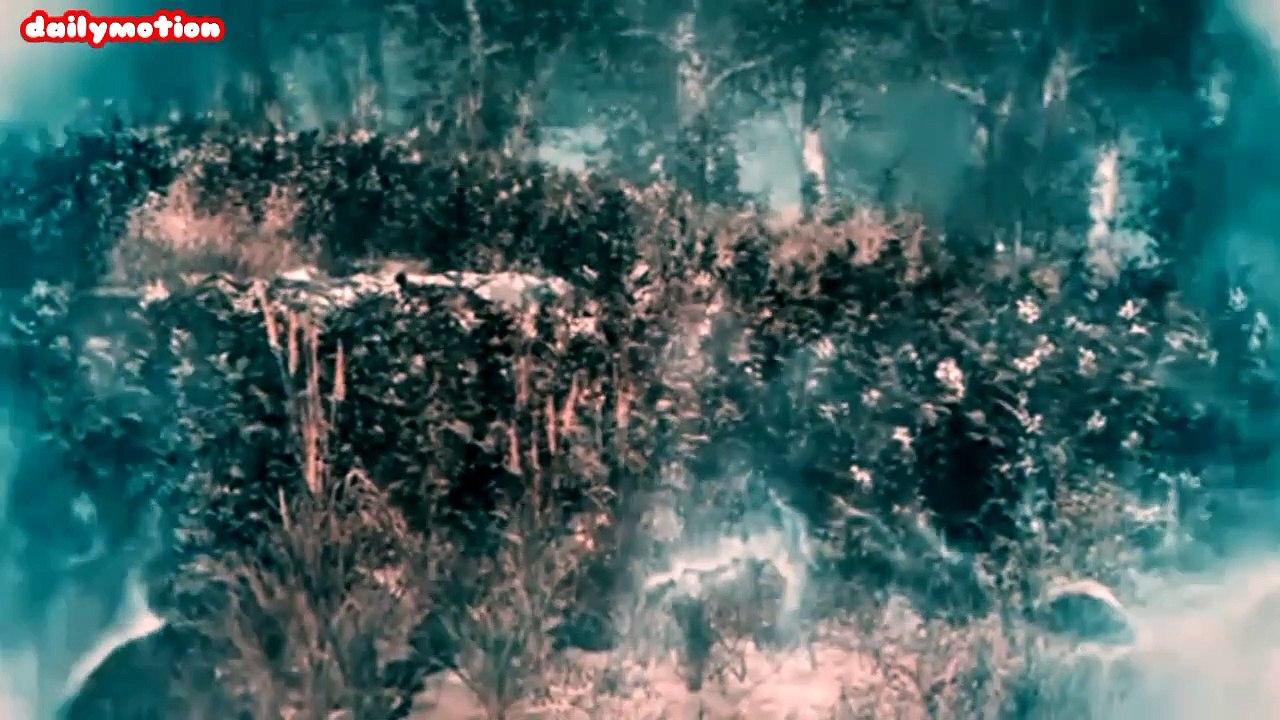 Formasi Teleportasi Kuno || Master Martial