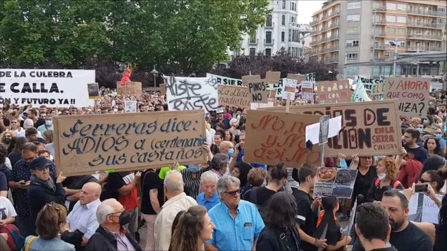 Manifestación por el incendio en la Sierra de la Culebra en Zamora