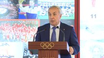 El COE confirma que no habrá candidatura española a los Juegos Olímpicos de Invierno 2030