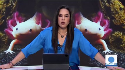 Condenan a científico mexicano acusado de espiar en EU para Rusia