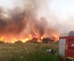 Antalya'da zeytinlik ve sazlık alanda yangın çıktı! Çok sayıda ekip bölgeye sevk edildi