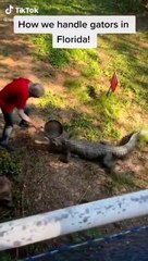 How To Deal With A Gator |  Man Uses Frying Pan _
