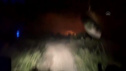 Kaş'ta zeytinlik ve sazlık alanda yangın çıktı (2)