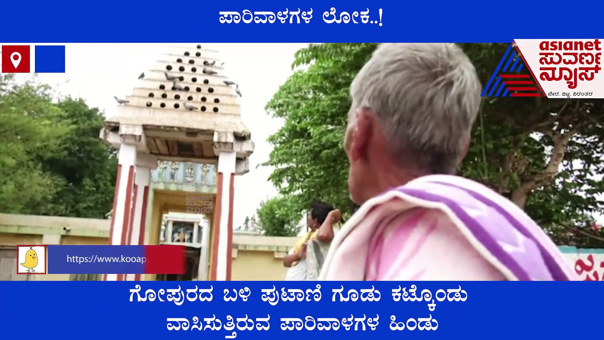 ಕೋಲಾರ: ವೇಣುಗೋಪಾಲ ಸ್ವಾಮಿ ದೇವಾಲಯದ ಗೋಪುರದಲ್ಲಿದೆ ಪಾರಿವಾಳ ಲೋಕ..!