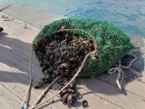 Sarıyer'de amatör olta balıkçıları ve denizde kaçak midye avcılığı denetimi
