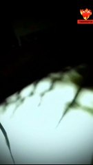 وحيد ف البيت مع الجن  | Alone at home with the jinn