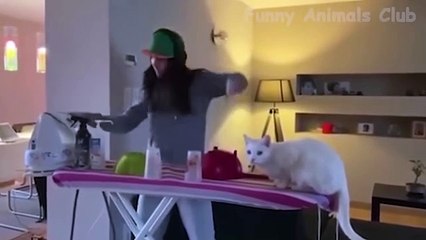 Best Funny Animals Videos - Cute Cats and Crazy Dogs Videos 2022 Compilation!