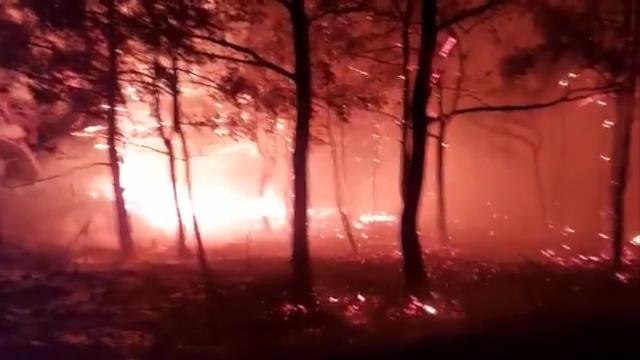 Marmaris'teki orman yangınına havadan ve karadan müdahale ediliyor (4)