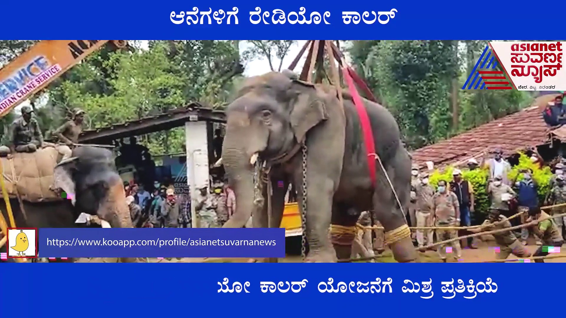 ಕೊಡಗು: ಕಾಡಾನೆ ಹಾವಳಿ ತಪ್ಪಿಸಲು ಆನೆಗಳಿಗೆ ರೇಡಿಯೋ ಕಾಲರ್