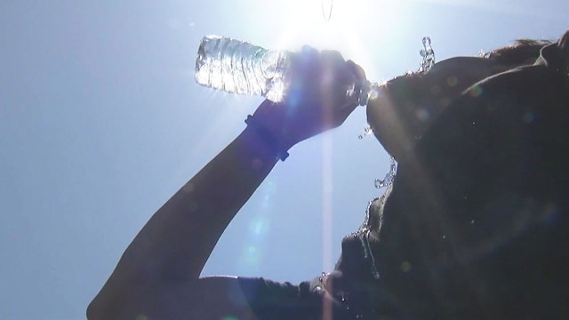 [뉴스라이더] 폭염·가뭄에 '불타는' 지구촌...기후변화 탓? / YTN